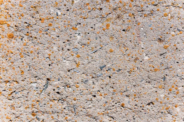 Concrete Wall Surface Texture — Stock Photo, Image