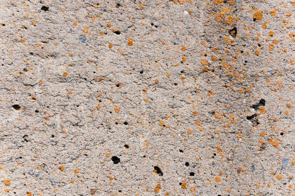 Texture Surface Mur Béton — Photo