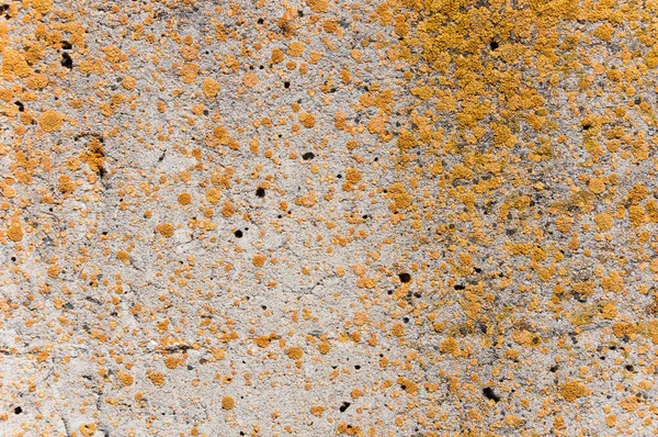 Concrete Wall Surface Texture — Stock Photo, Image