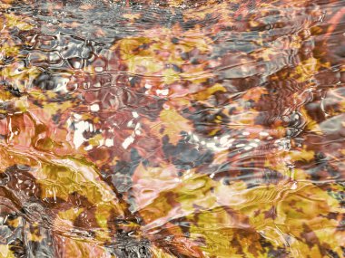 Sonbahar dere akış arkaplanı.