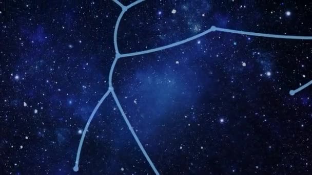 Constelação de Canis Major (CMa ) — Vídeo de Stock
