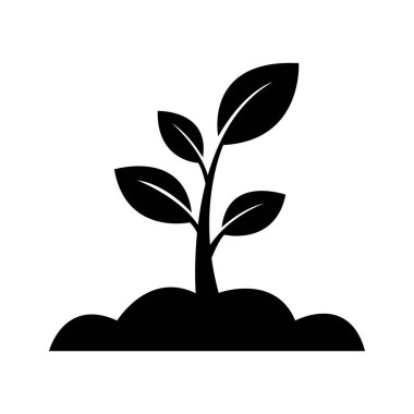Simple, yet elegant black image shows plant growing from soil. The picture illustrates initial growth stage. Isolated on a transparent backdrop for ease of use and integration.