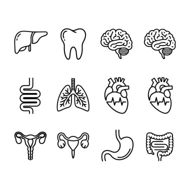 Temel insan iç organlarını ve sağlık, biyoloji ve eğitim içeriği için ideal olan bir dişi tasvir eden bir çizgi sanat simgesi koleksiyonu.
