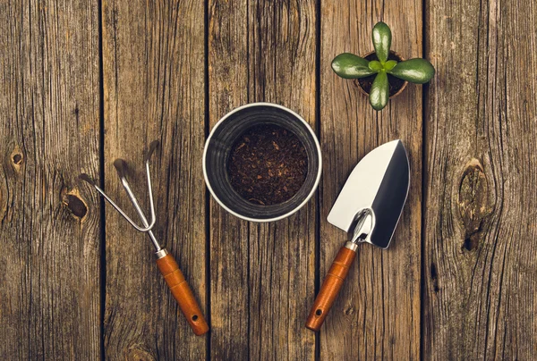 Herramientas y accesorios de jardinería sobre fondo de madera. Vista superior — Foto de Stock