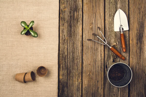 Herramientas y accesorios de jardinería sobre fondo de madera. Vista superior — Foto de Stock