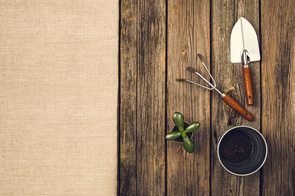 Herramientas y accesorios de jardinería sobre fondo de madera. Vista superior — Foto de Stock