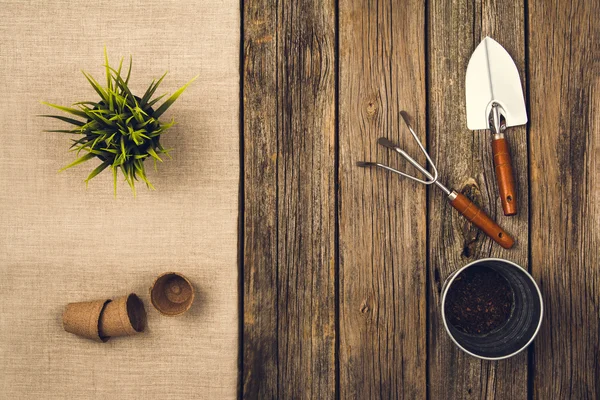 Herramientas y accesorios de jardinería sobre fondo de madera. Vista superior — Foto de Stock