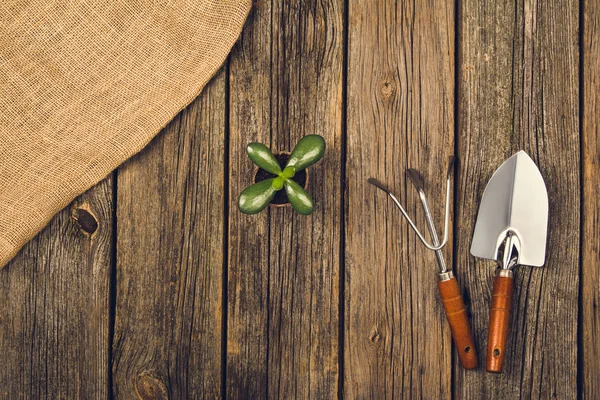 Gartengeräte und Zubehör auf Holzgrund. Ansicht von oben — Stockfoto