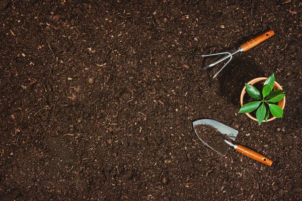 Alat berkebun di latar belakang tanah. Bekerja di kebun — Stok Foto