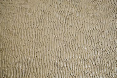 Arka plan için doğal kumsal desenleri