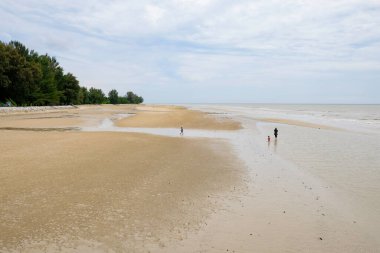 Riau, Endonezya - 11 Mayıs 2025: Turistler Tanjung Lapin Sahili, Rupat Adası 'nda tatildeler