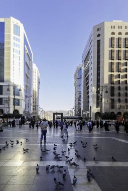 Medine, Suudi Arabistan - 5 Mart 2024: El-Mescidi yakınlarındaki binaların etrafındaki güvercinler