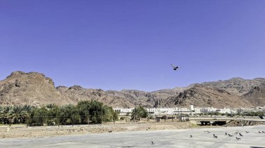 Uhud Dağı 'nın güzel manzarası