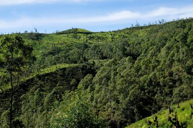 Sabah yürüyüşü sırasında Ramelau Dağı 'ndan güzel bir manzara.
