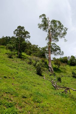 Hatu Builico köyünün güzel manzarası Ramelau Dağı yürüyüş parkuruna doğru.