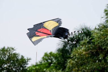 Parkta uçan uçurtmanın yakın çekimi