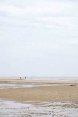 Tanjung Lapin Sahili 'nin güzel manzarası, Rupat Adası