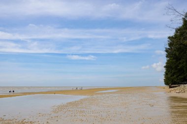 Tanjung Lapin Sahili 'nin güzel manzarası, Rupat Adası