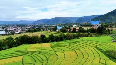 Balige, Endonezya - 29 Mayıs 2025: Toba Gölü çevresindeki pirinç tarlası ve köyün sinematik hava manzarası