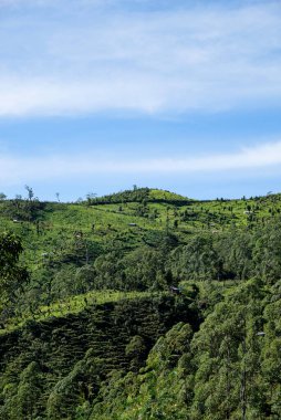 Sabah yürüyüşü sırasında Ramelau Dağı 'ndan güzel bir manzara.