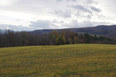 Çek Cumhuriyeti 'nde parçalı bulutlu bir gökyüzünün altındaki çayır manzarası. Görüntü açık alanı, doğal güzelliği ve sakin kırsal manzarayı yakalar..