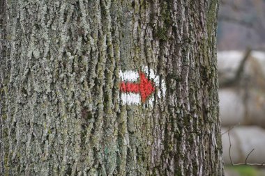 Etrafı yemyeşil bir bitki örtüsüyle çevrili, görkemli tepeler manzaralı bir dağ yolunda yürüyüş yapmak. Doğa aşıkları ve dağ manzarası meraklıları için mükemmel bir yolculuk..