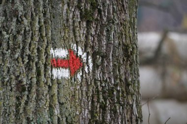 Etrafı yemyeşil bir bitki örtüsüyle çevrili, görkemli tepeler manzaralı bir dağ yolunda yürüyüş yapmak. Doğa aşıkları ve dağ manzarası meraklıları için mükemmel bir yolculuk..