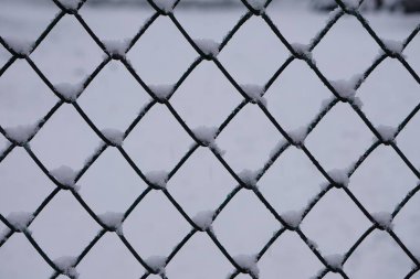 Sert kış koşullarında kar taneleri düşer, bu da çiğ ve soğuk bir manzara yaratır. Yakın plan, karın hassas detaylarını ve dokusunu gösterir..