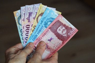 Macar forinti (HUF) banknotlarında Rkczi, Corvinus ve Stephenl gibi tarihi Macar figürlerinin portreleri yer alıyor. Banknotlar bir kadının elinde tutuluyor, ön taraftaki detayları gösteriyor..