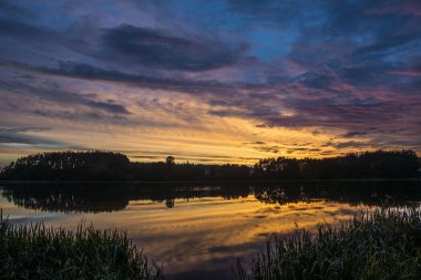 orman ile renkli günbatımı