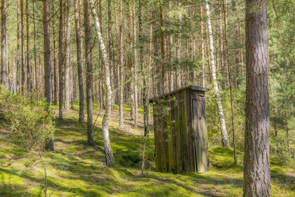 Funny toilet in the wild forest — Stock Photo, Image