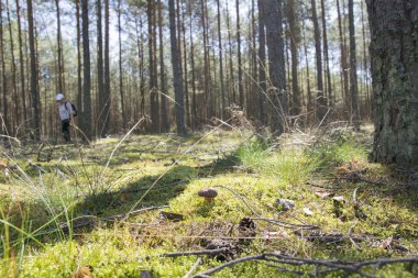 Bayan ve Heather thatched yazlık