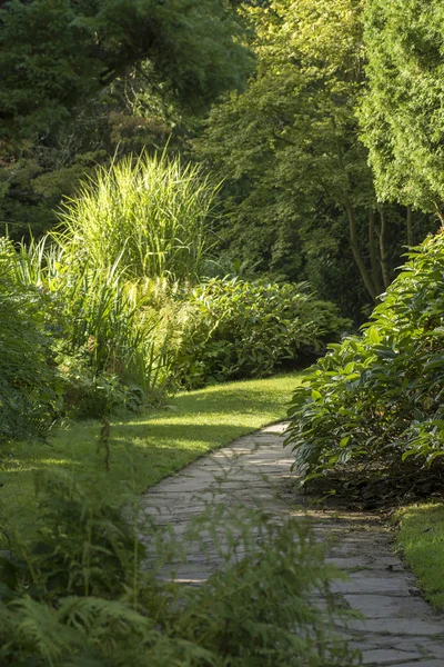 Bayan ve Heather thatched yazlık