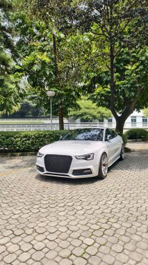 Bahçede, kaldırım taşlarındaki bir ağacın altında park edilmiş lüks beyaz bir araba.