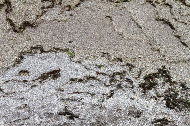 Islak Altın Kumsal Nazik Dalgalarla Yakın Çekim