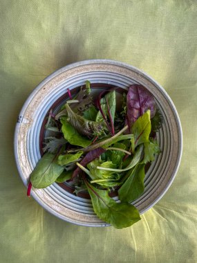 Taze Yeşil Marul Beyaz Kasede Yakın Çekimde Bırakıldı