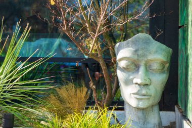 Lush Garden Parlak Gün Işığı 'nda Terracotta Baş Heykeli