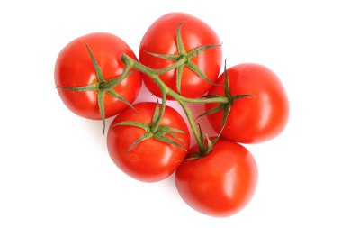 Beyaz arkaplanda domatesler