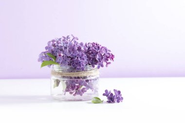 Cam bir kavanozda çiçek açan leylak dalları