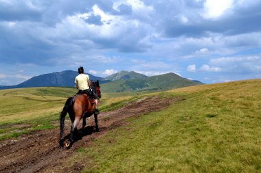 Rodna mountains in Romania - horse with man clipart