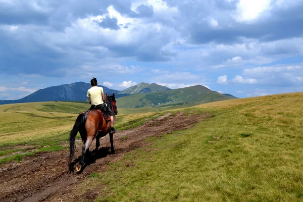 ルーマニア - 男と馬の Rodna 山 — ストック写真