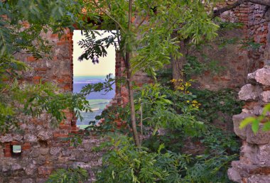 Pencerede ağaçlarla kaplı yaşlı bir tuğla duvar