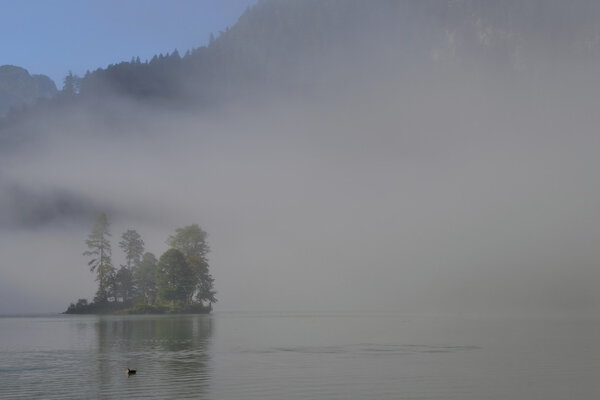 Look on a small island with trees in the lake with fog around at the morning. Germany - Konigssee lake.