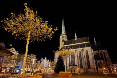 Tree in the foreground and cathedral in the background on a city square at clear night are illuminated by city lights. The historic cathedral with a tower is behind the tree. Illuminated buildings, lights and shining Christmas decorations are around.