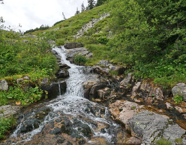 Bottom view of a mountain stream with waterfalls and green plants around. The stream flows and falls down through a rocky riverbed with stones and boulders. Grass and green plants are on the hillsides around.  Krkonose mountains, Czech - Czechia
