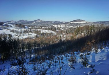 Güneşli ve soğuk kış manzaraları. Yeşil ormanları ve karla kaplı beyaz çayırları olan doğa manzarası. Mavi açık gökyüzü arka planda en üstte..