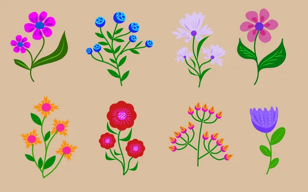 Juego de flores dibujadas a mano. Flora elementos vectoriales — Archivo Imágenes Vectoriales