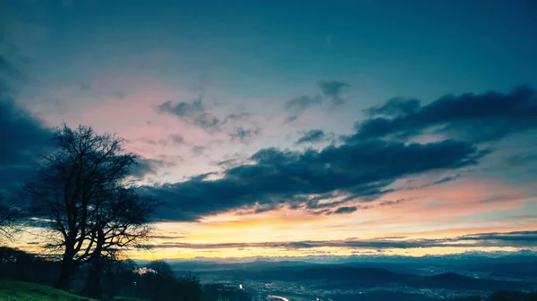 Árvore Fundo Pôr Sol Nuvens Azuis — Fotografia de Stock