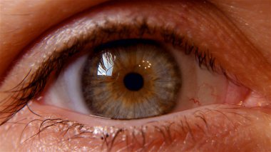 İnsan gözü makro görüntüsü. Görüş. Pupi.