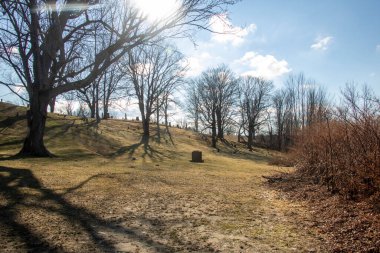 St. James Mezarlığı Peyzajı. Haverhill 'deki mezarlık, MA' da birçok eşsiz ve eski mezar taşı var. Arka plan Duvar Kağıdı.